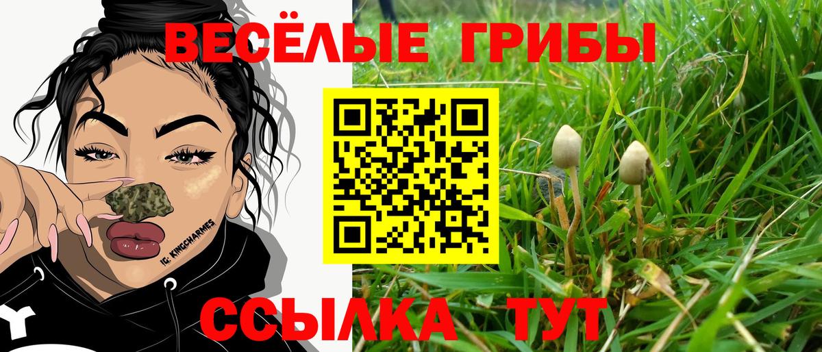 Галлюциногенные грибы Magic Shrooms  Вход с VPN  Галлюциногенные грибы прущие грибы  наркошоп  Карасук 